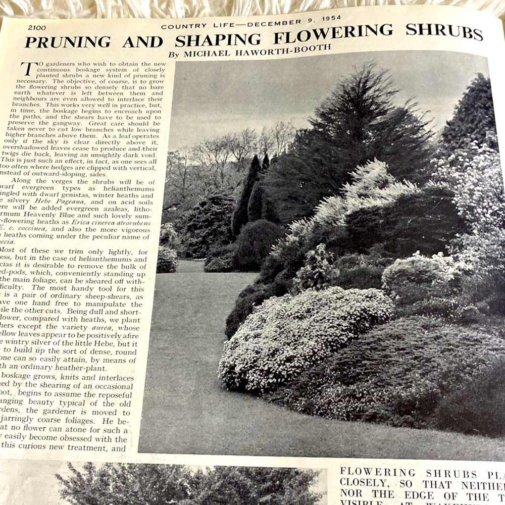 CHRISTMAS COUNTRY LIFE MAGAZINE VINTAGE Christmas Ads December 9, 1954 - Picture 12 of 16